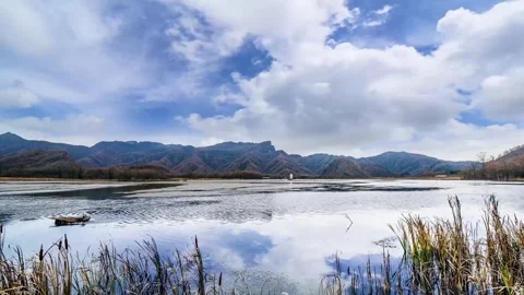 Time Lapse of Lakeside Withered Reed Lake Rolling Cloud Fluff Stock Footage 337942162