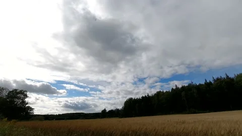 Time lapse landscape fluffy cloud sky flowing on natural forest on morning Stock Footage 173629258