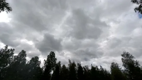 Time lapse landscape fluffy cloud sky flowing on natural forest on morning Stock Footage 177381539