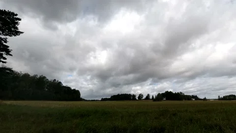 Time lapse landscape fluffy cloud sky flowing on natural forest on morning Stock Footage 177381541