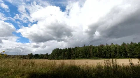 Time lapse landscape fluffy cloud sky flowing on natural forest on morning Stock Footage 177385579