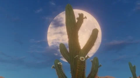 Time-lapse landscape of moon rising in desert at night Stock Footage 288174526