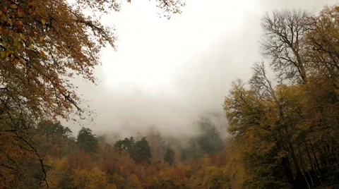 Time Lapse, Landscape, Mountain, Misty Stock Footage 43260058
