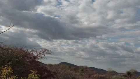 Time-lapse of a landscape in a semi arid area in Africa Stock Footage 150954461