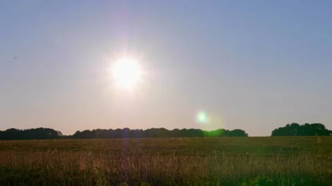 Time lapse landscape sunset behind trees sunlight, sun glare, wheat field, sky Video stock 136827066