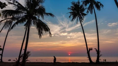 Time lapse landscape: sunset on a tropical beach with moving clouds in the sky Stock Footage 73537310