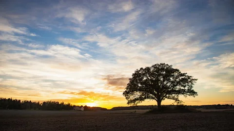 Time lapse landscape sunset with twilight fluffy cloud sky flowing on farm Video stock 179750268