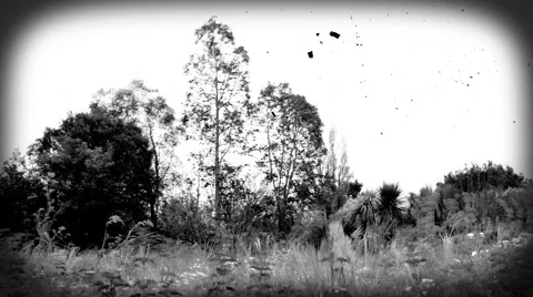 Time-lapse - landscape with trees in black and white with scratches and spots. Stock Footage 63316767