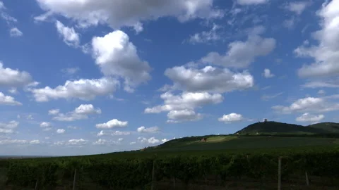 Time lapse of a large vineyard under a hill on a cloudy day 库存影片 137968746
