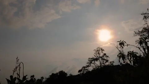 Time lapse of the last steps of the sunset behind the mostly alder trees fore Stock Footage 274681219