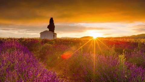 Time Lapse of Lavender field in Provence, Provence-Alpes-Cte dAzur, France Stock Footage 162511939