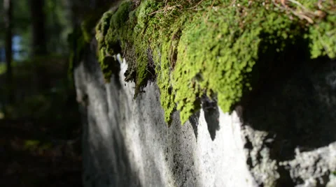 Time Lapse of Light Moving Across Rock Video stock 27416481