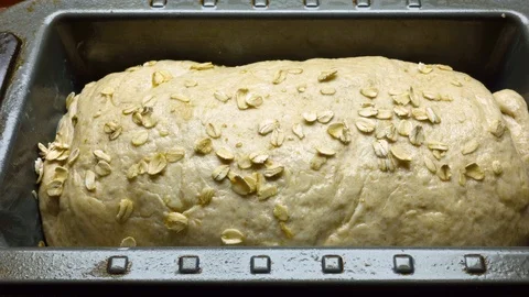 Time Lapse of a loaf of bread rising Stock-Footage 89445048