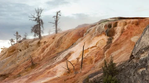 Time Lapse Lockdown Scenic Shot Of Bare Plants Over Rock Formation From Sunset Stock Footage 160314743