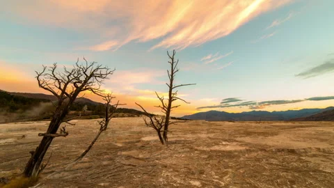 Time Lapse Lockdown Shot Of Bare Trees Over Landscape During Sunset At Stock Footage 160326978