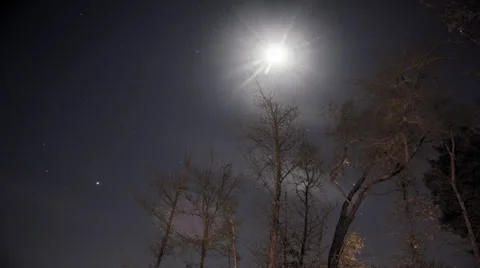 Time Lapse -  Lone Trees and the Stars Stock Footage 39545958