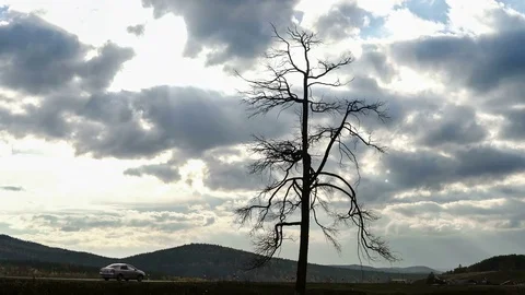 Time lapse. Lonely tree without leaves near the road. The hills of the mountains Stock Footage 73804218