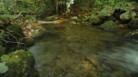 Time Lapse Long Exposure Panning Motion Capture Mountain Stream Gatlinburg Stock Footage 120042374