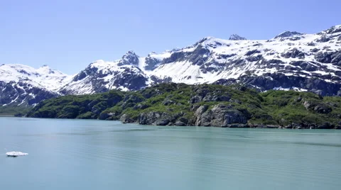 Time-lapse looking up through the bottom of a pine tree while moving around the Stock Footage 52215929