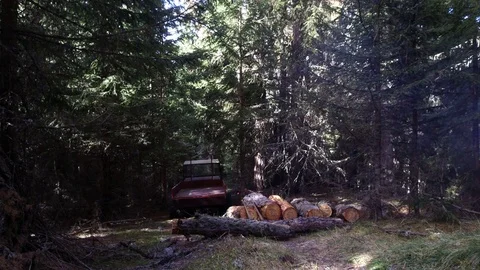 Time lapse, lumberjacks load tractor trunks, Alta Badia, Dolomites Video stock 81486378