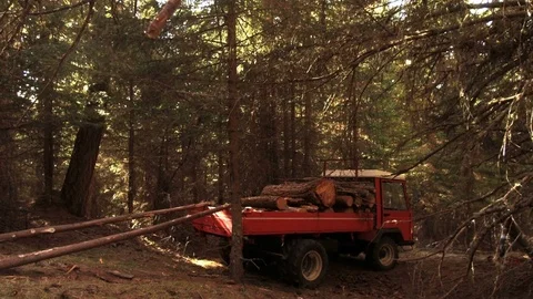 Time lapse, lumberjacks load tractor trunks, Alta Badia, Dolomites Stock Footage 81486398