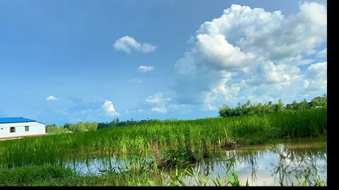 Time-Lapse of Lush Green Rural Landscape, Calm Water, and Moving Fluffy Clouds Stock Footage 339216151