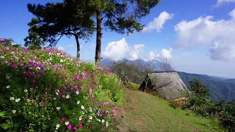 Time lapse of Mae Ta Man valley, Mae Na, Chiang Dao, Chiang Mai. Thailand. Stock Footage 75659113