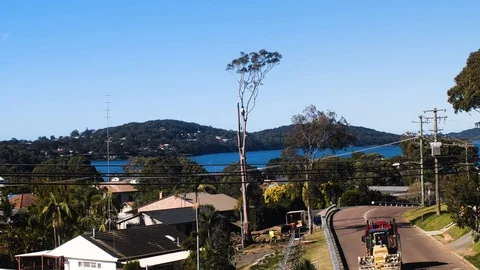 Time lapse of man and workers chopping down tree wuth lak in back ground 스톡 동영상 122438034