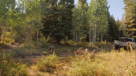 Time lapse man getting firewood in the mountains. Stock Footage 108580411