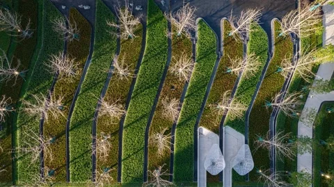 Time lapse of man-made pond and meadow Stock Footage 168397848