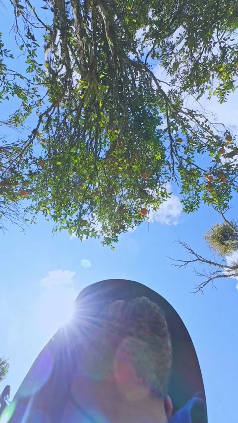 Time Lapse of Man Picking and Eating Citrus Fruit. 動画素材 329528937