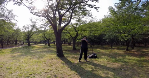 Time lapse of man practicing with bullwhip in a park Stock Footage 49169416