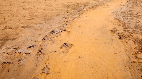 Time lapse of a mangrove forest tidal canal being flooded by the tide 動画素材 70384822