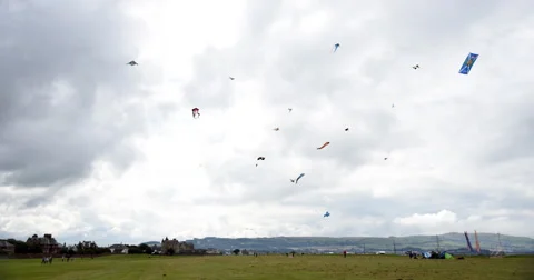Time-lapse of many kites flying 動画素材 66761606