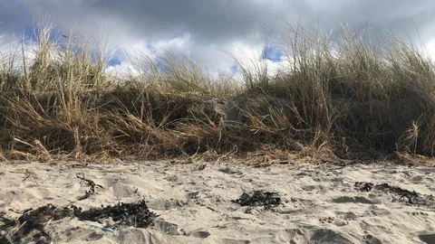 Time lapse of marram grass, beach and sky Inchadoney Clonakilty County Cork Stock Footage 87660399