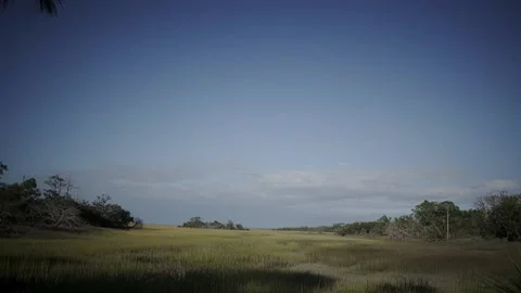 Time-Lapse Marsh lands 库存影片 203970526