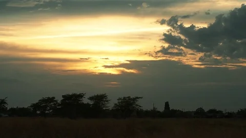Time Lapse in a meadow Stock Footage 79501124