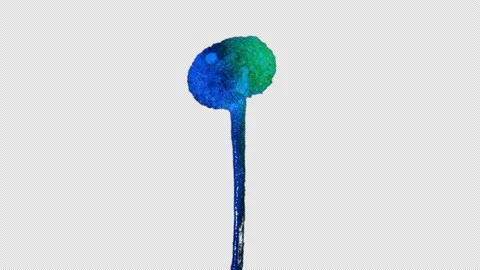 Time-Lapse of Melting Ice On Flower Stock-Footage 147655847