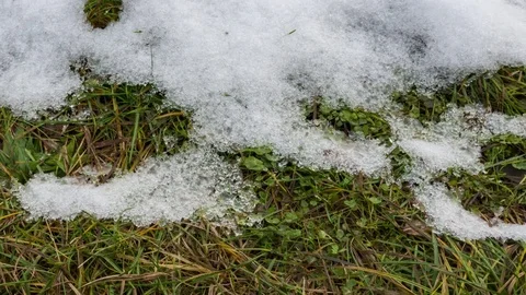 Time Lapse of melting snow. Stock Footage 76022266