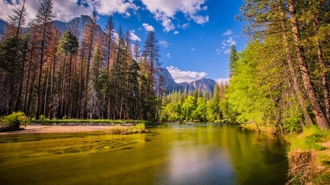 Time Lapse - Merced  River Running through Yosemite Valley - USA - 4K Stock Footage 95882057