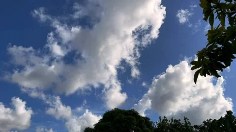 Time lapse Miami in the summer Stock-Footage 202240693