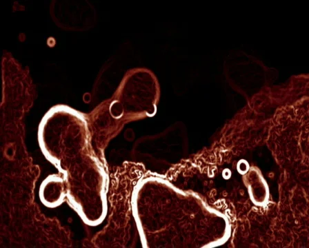 Time Lapse Microbes 스톡 동영상 103868