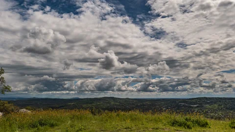 Time Lapse of Mid-Level Clouds and Field of Yellow Flowers Stock Footage 278445137
