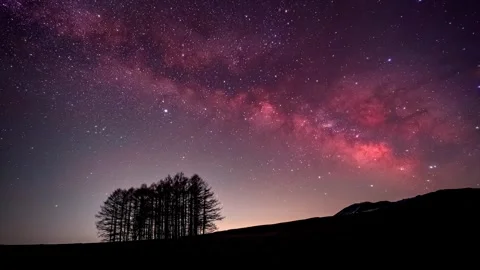 Time lapse - Milky Way and Japanese larch Forest Hill Stock Footage 281221762