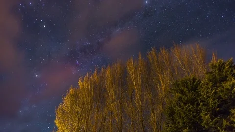 Time Lapse - Milky Way rises behind trees during autumn season. Stock Footage