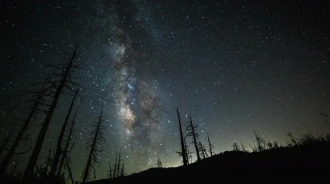 A time lapse of the Milky Way with trees in the foreground.  Stock Footage 68825327