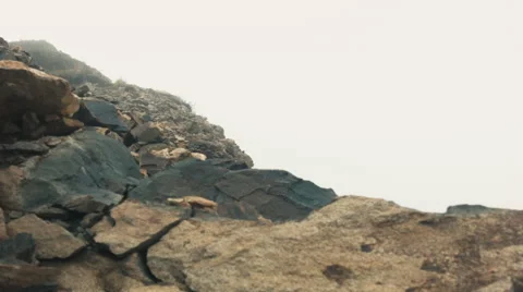 Time lapse of mist in the mountains. Sochi. Great for keying and effects. Stock Footage 51323764