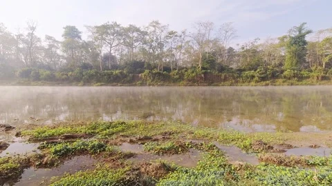 Time lapse mist over river motion in Chitwan national park. Jungles buffer .. Stock Footage 309329571