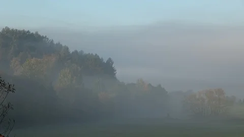 Time lapse of mist rising above the meadow near the forest. Stock Footage 94580085