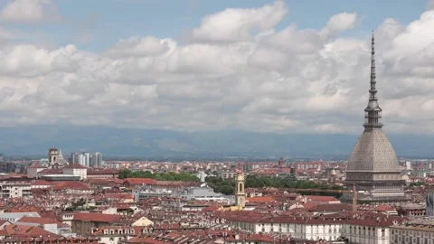 Time lapse mole Stock Footage 142787805